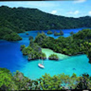 Meet your Posher, Jack